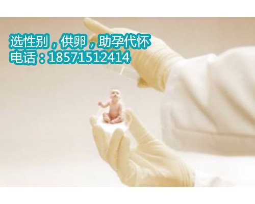 北京正规的代生孕多少钱,广东可以做三代试管的医院
