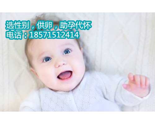 南京怎么借腹生子,全国首例试管婴儿是哪家医院